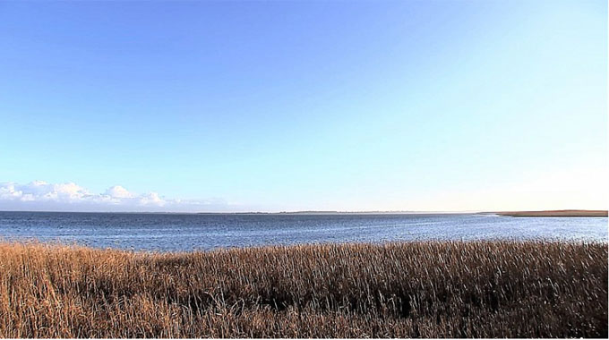Dänemark wächst – Fünf neue kleine Inseln im Nissum Fjord – SH-UgeAvisen