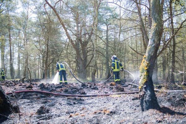 Flächenbrand in der „Barker Heide“ – SH-UgeAvisen