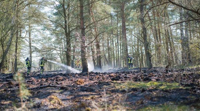 Flächenbrand in der „Barker Heide“ – SH-UgeAvisen